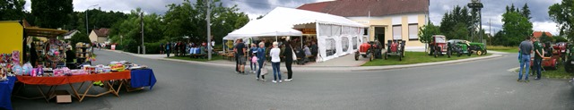 PLDC0020 kirtag web